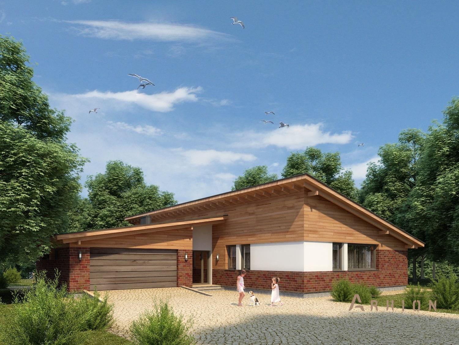 1. Проект одноэтажного дома в европейском стиле с односкатной кровлей, 103-205, площадью - 204 кв c терассой, гаражом