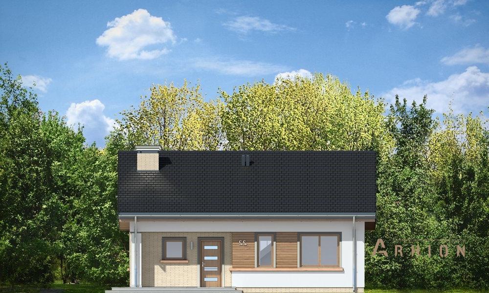 4. Проект одноэтажного дома в канадском стиле с двускатной кровлей, mp-049, площадью - 110 кв c мансардой, терассой