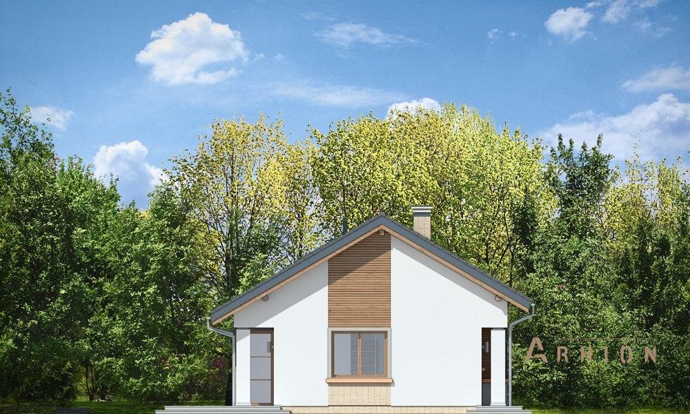 10. Проект одноэтажного дома в канадском стиле с двускатной кровлей, mp-049, площадью - 110 кв c мансардой, терассой