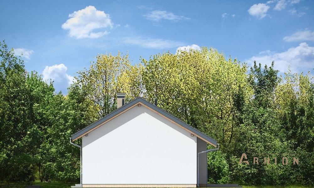 8. Проект одноэтажного дома в канадском стиле с двускатной кровлей, mp-049, площадью - 110 кв c мансардой, терассой