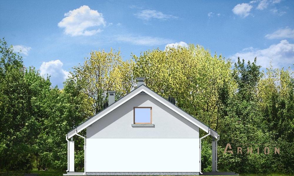 4. Проект одноэтажного дома в канадском стиле с двускатной кровлей, mp-171, площадью - 131 кв c мансардой, терассой