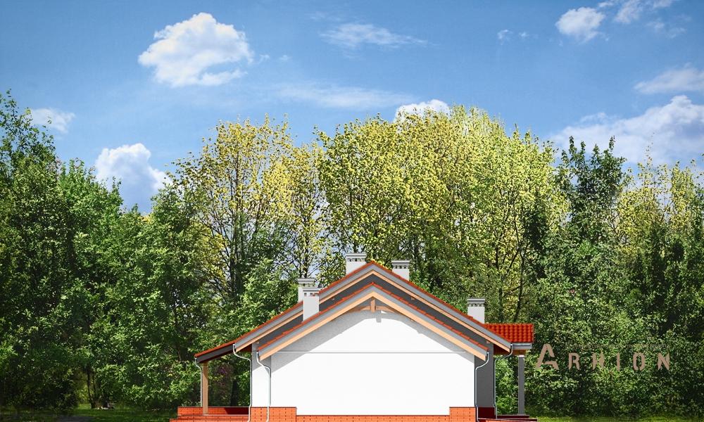 11. Проект одноэтажного дома в канадском стиле с двускатной кровлей, mp-246, площадью - 170 кв c мансардой, терассой, гаражом