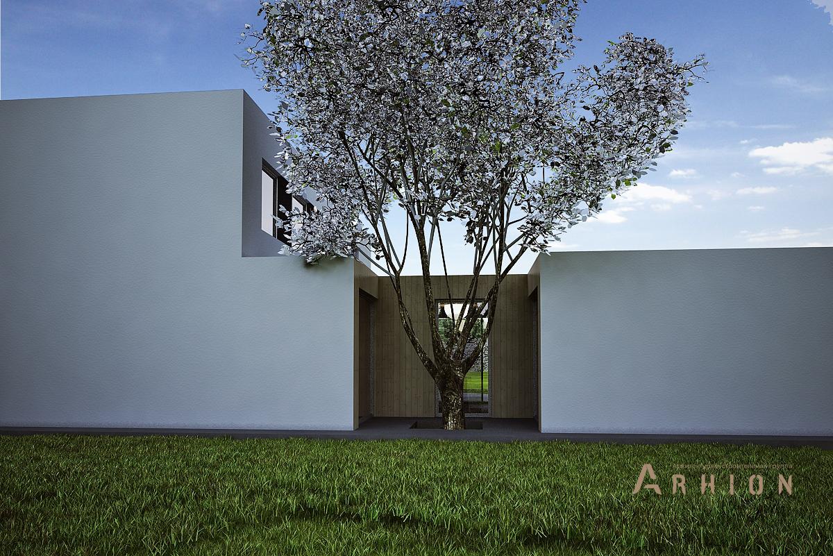 2. Проект двухэтажного дома в стиле минимализм с плоской кровлей , N-255, площадью - 254 кв c терассой, гаражом